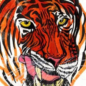 Meet your Posher, Darryl